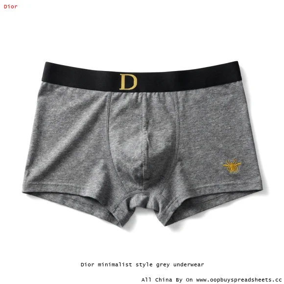 Dior minimalist style grey underwear