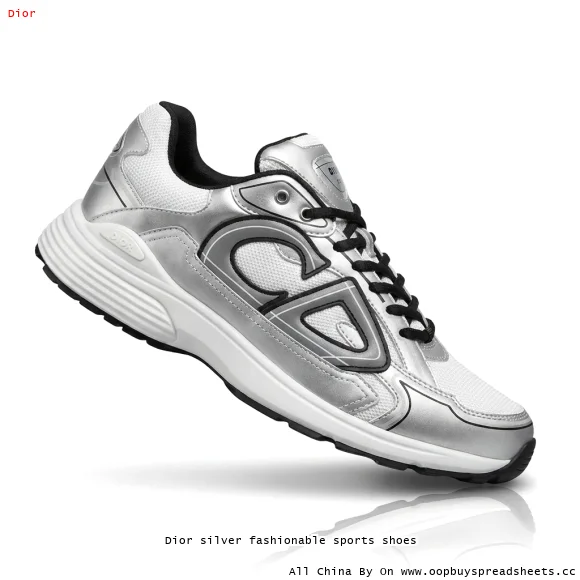 Dior silver fashionable sports shoes