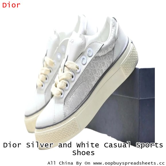 Dior Silver and White Casual Sports Shoes