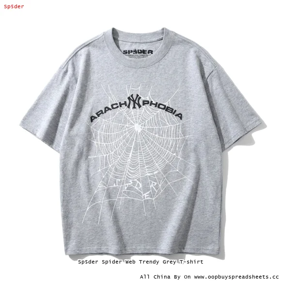 Sp5der Spider Web Trendy Grey T-shirt