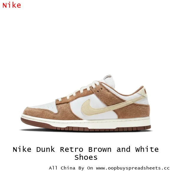 Nike Dunk Retro Brown and White Shoes
