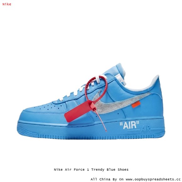 Nike Air Force 1 Trendy Blue Shoes