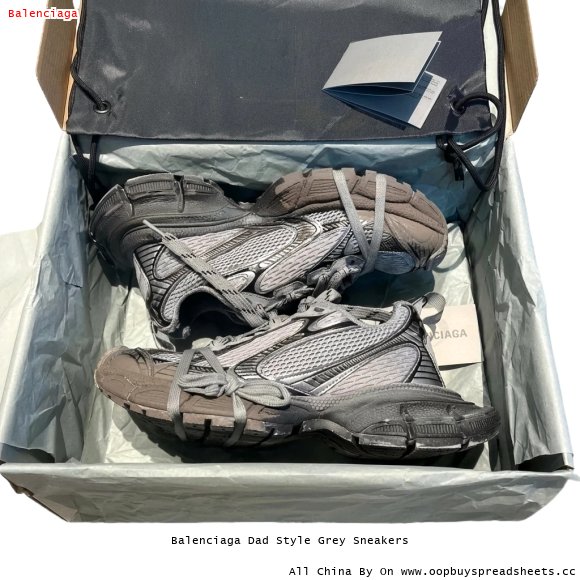 Balenciaga Dad Style Grey Sneakers