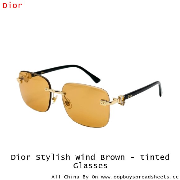 Dior Stylish Wind Brown - tinted Glasses