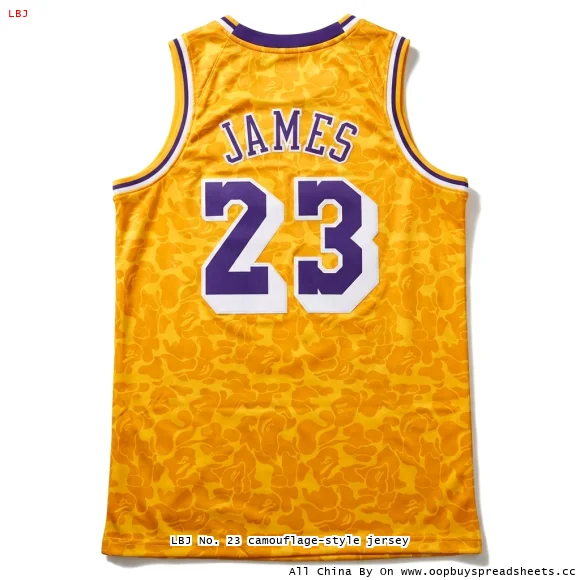 LBJ No. 23 camouflage-style jersey