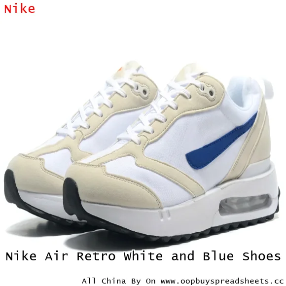 Nike Air Retro White and Blue Shoes