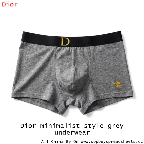 Dior minimalist style grey underwear