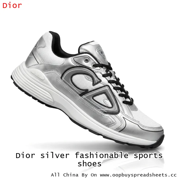 Dior silver fashionable sports shoes