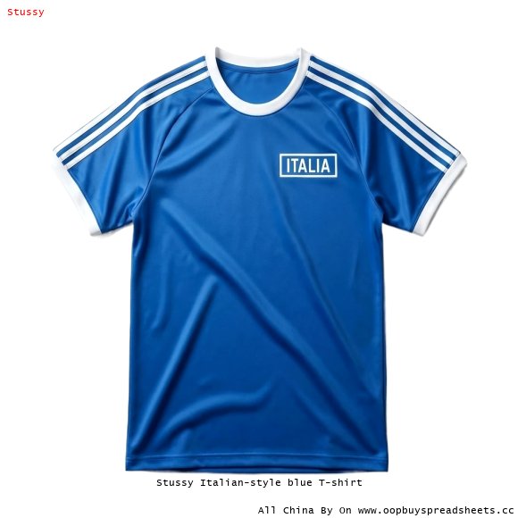 Stussy Italian-style blue T-shirt