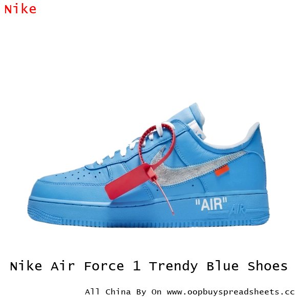Nike Air Force 1 Trendy Blue Shoes