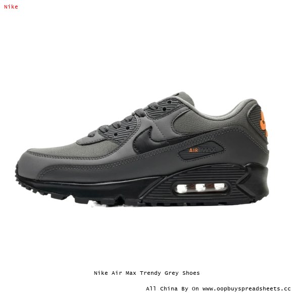 Nike Air Max Trendy Grey Shoes