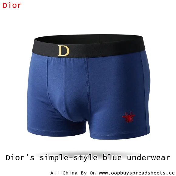 Dior's simple-style blue underwear