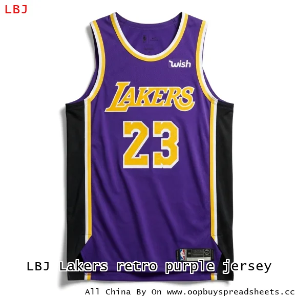 LBJ Lakers retro purple jersey