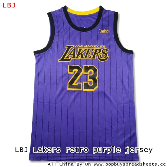 LBJ Lakers retro purple jersey