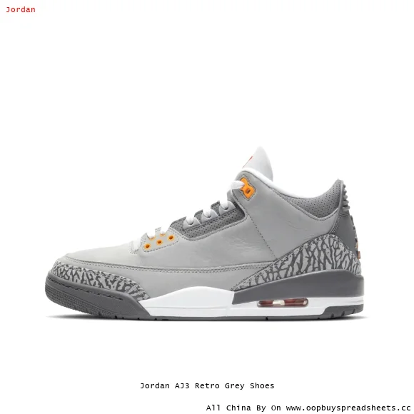 Jordan AJ3 Retro Grey Shoes