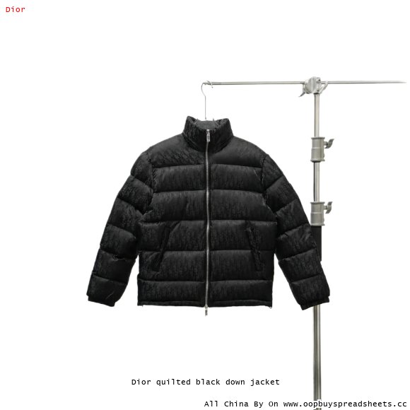 Dior quilted black down jacket