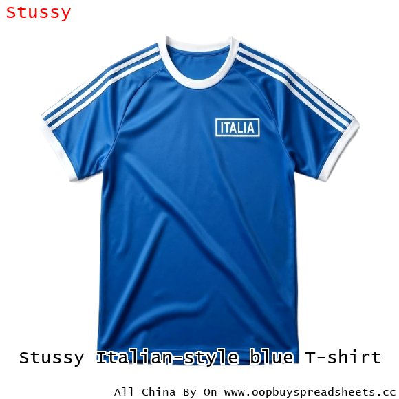 Stussy Italian-style blue T-shirt