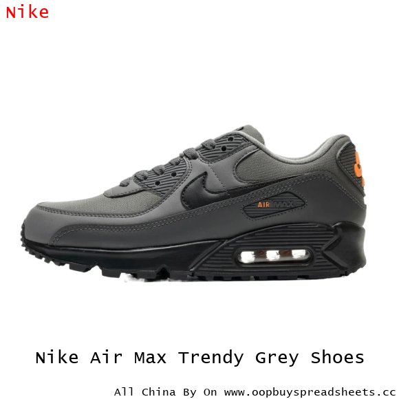 Nike Air Max Trendy Grey Shoes
