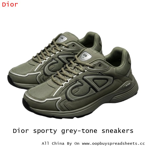 Dior sporty grey-tone sneakers