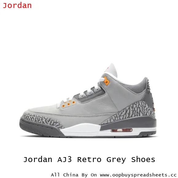 Jordan AJ3 Retro Grey Shoes