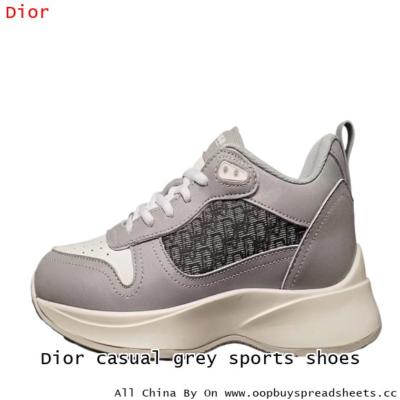 Dior casual grey sports shoes